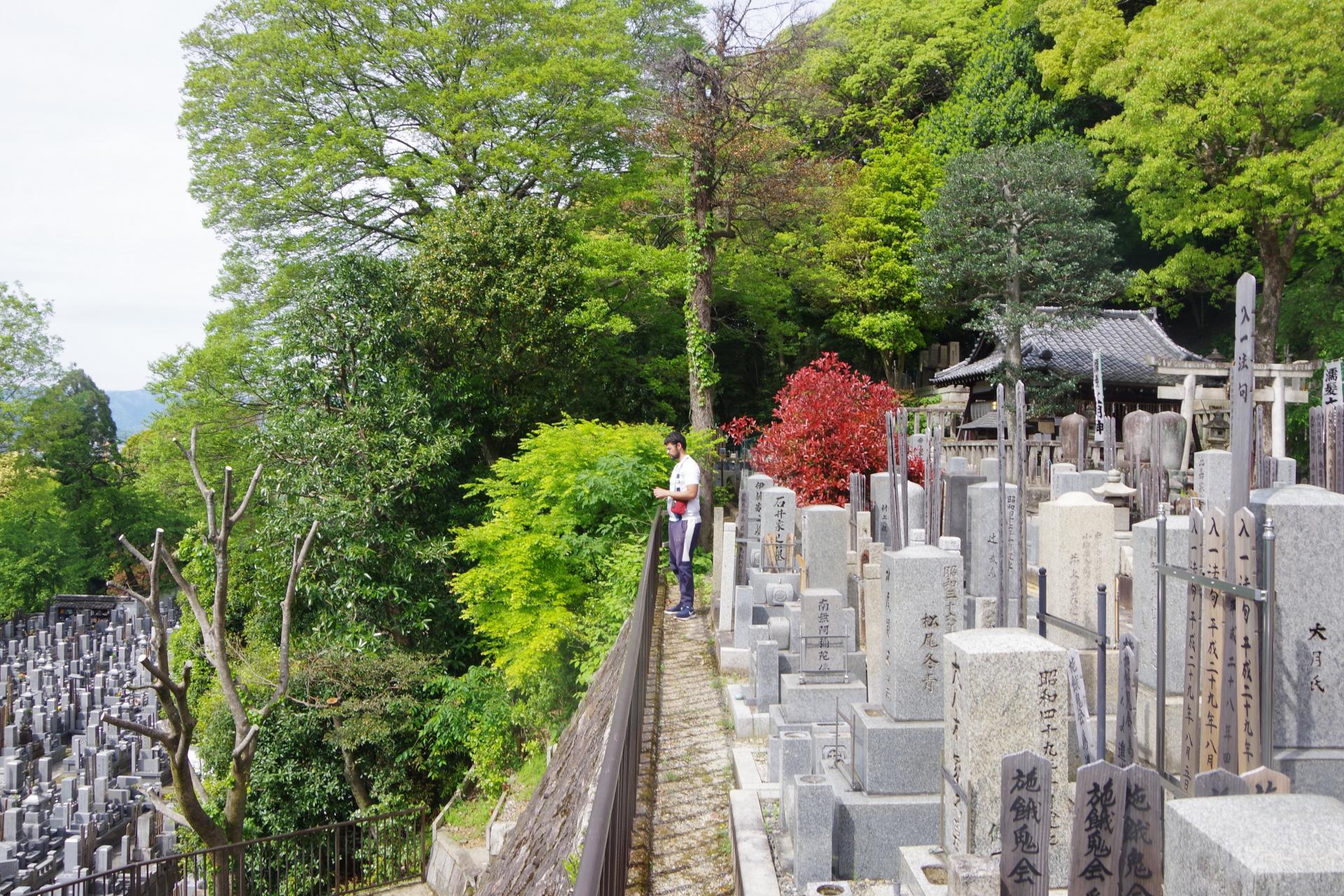 graveyard kyoto