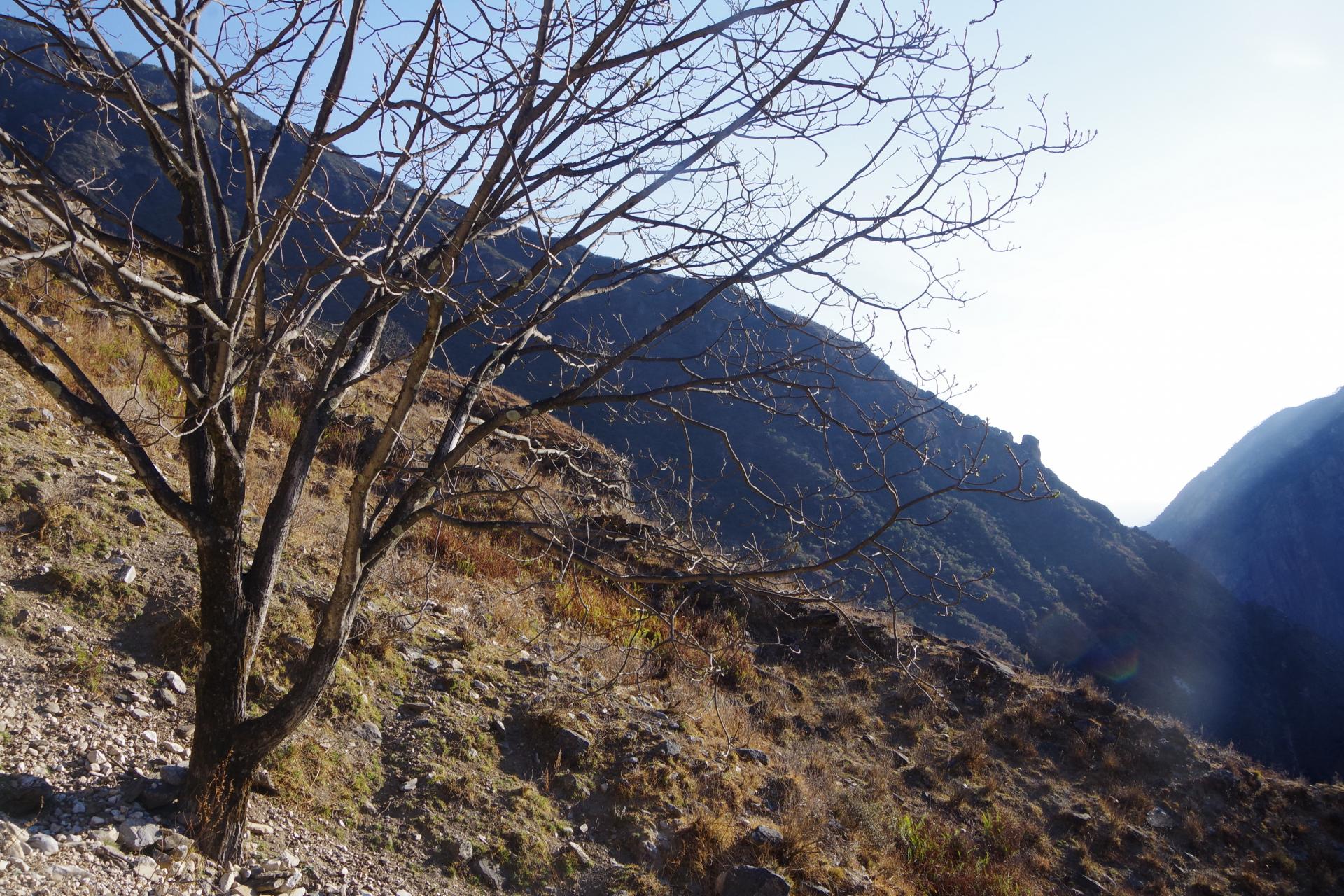 Tiger Leaping Gorges to Haba