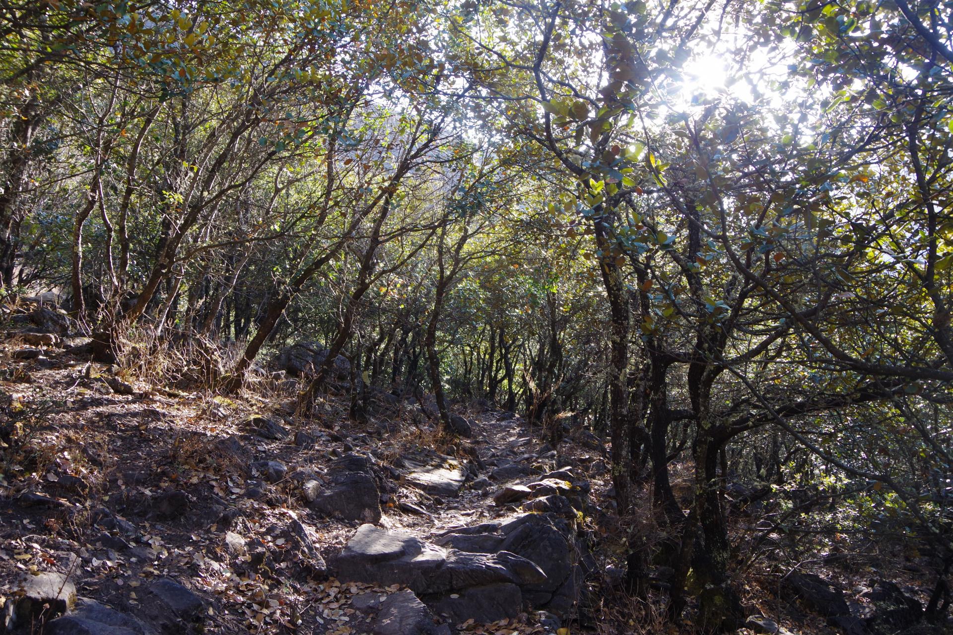Tiger Leaping Gorges to Haba