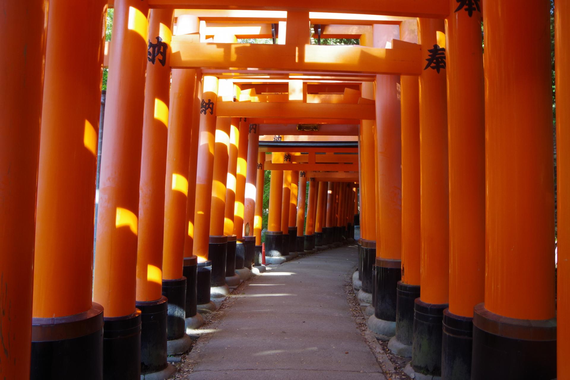 inari kyoto