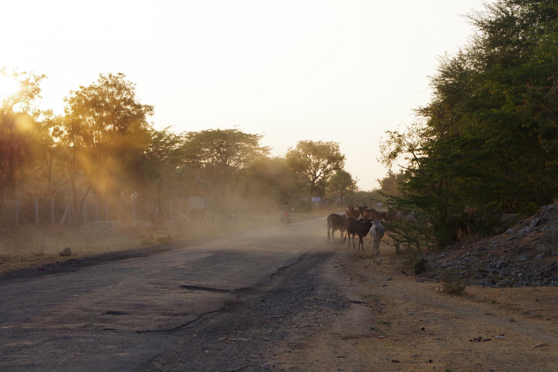 Ranakpur road
