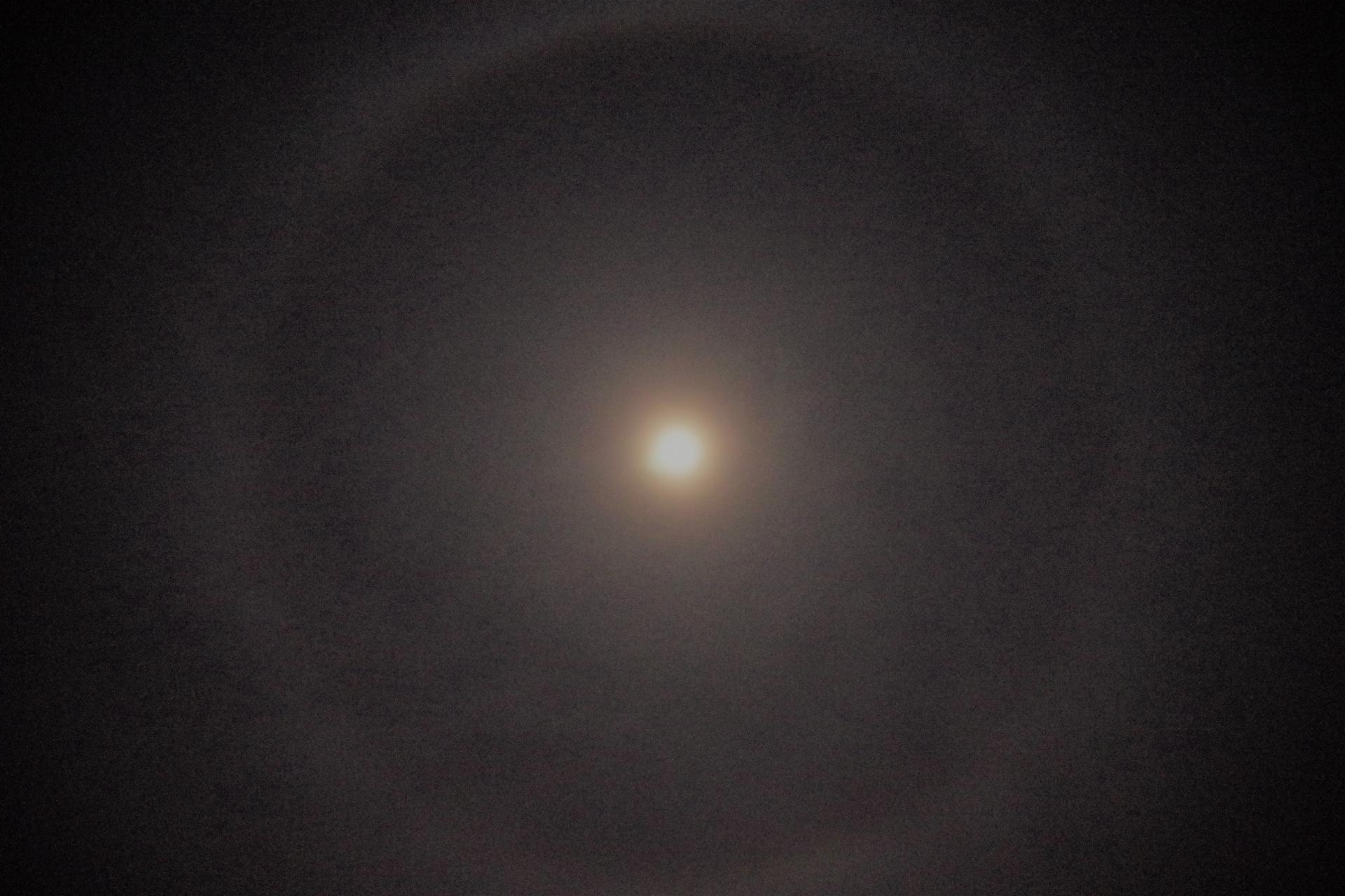 Mogolian moon