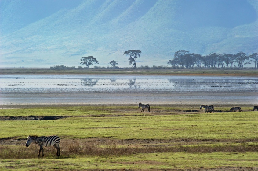 Tanzanie 1